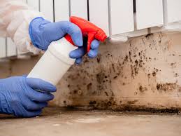 Best Black Mold Removal  in Liberal, KS